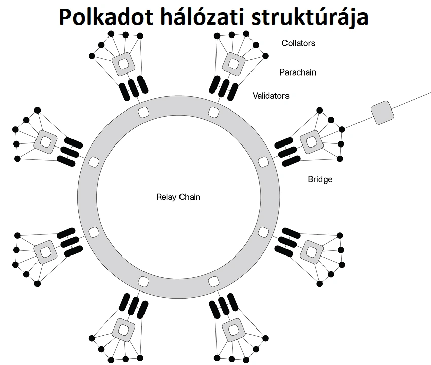 Polkadot : hálózati struktúra