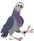 Google algoritmusok (Galamb - Pigeon)