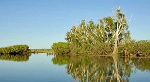 Kakadu Nemzeti Park pici fotója. Egy a Darwin látnivalók közül.