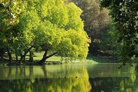 Rengeteg szép park az Ermenonville nevű kicsi faluban, remek Párizs környéki kaland.