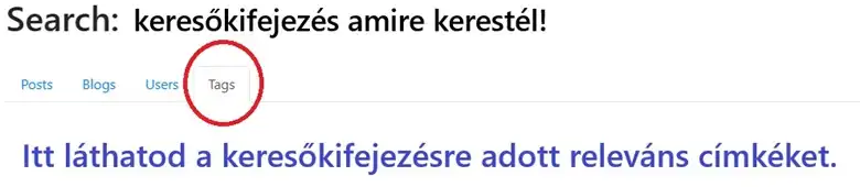 A címkék felkutatás a Publish0x.com nevű blogger platformon, ami hasznos, enélkül a pénzkeresés blogolással kudarcba fullad. 