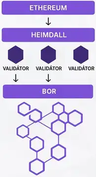 A Polygon PoS hálózat működését, amely egy oldallánci megoldás, három réteg teszi lehetővé : Ethereum, Heimdall, Bor