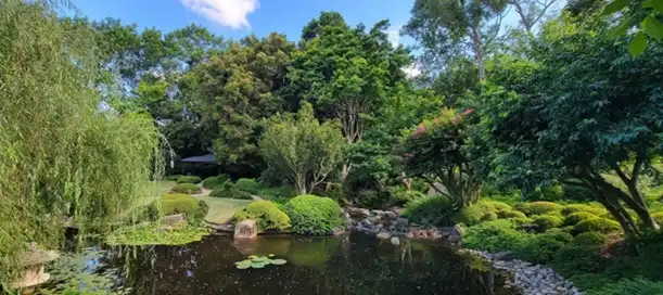 A Mount Coot‑tha Botanic Gardens a természetrajongók egyik legkedveltebb célpontja Brisbane-ben. A kert hatalmas területen, tematikus zónákra bontva mutatja be Ausztrália és a világ növényvilágának legszebb darabjait: esőerdő‑sétányok, japánkert, kaktusz- és pozsgásgyűjtemény, trópusi üvegház és árnyas tavak váltják egymást. A hegy lábánál fekvő kert tökéletes menedék a városi nyüzsgés elől, miközben a Mount Coot‑tha Lookout közelsége miatt könnyen összeköthető egy panorámás városnézéssel is. Ha olyan szállást keresel, ahonnan gyorsan elérhetők Brisbane természeti látnivalói, érdemes a környék hotelkínálatát is áttekinteni — ez a terület ideális választás azoknak, akik a város és a természet határán szeretnének pihenni.