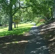Árnyas sétány a brisbane-i Wickham Parkban, magas fák között, napfényfoltokkal és csendes, természetközeli hangulattal.