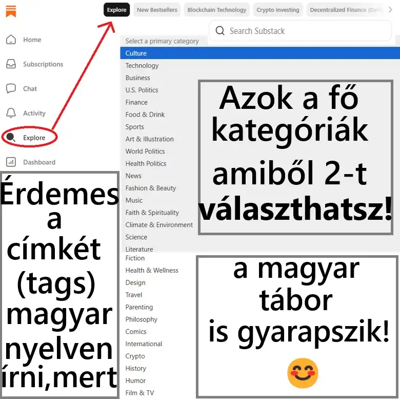 Substack regisztráció után a két fő kategória beállításáról és a Substack blog cikkekben az alkalmazott címkék fontosságáról.